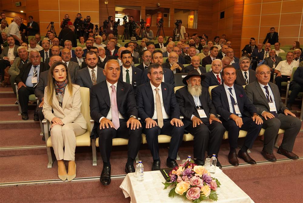 aefdsfe3223.JPG aefdsfe3223.JPG